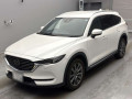 2019 Mazda CX-8