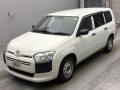 2020 Toyota Probox