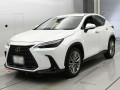 2023 Lexus NX
