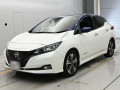 2021 Nissan Leaf