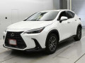 2023 Lexus NX