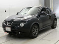 2013 Nissan JUKE