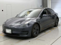 2021 Others MODEL 3
