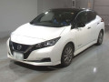 2020 Nissan Leaf
