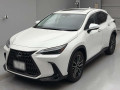 2023 Lexus NX