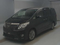 2013 Toyota Alphard