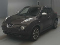 2013 Nissan JUKE