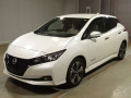 2021 Nissan Leaf
