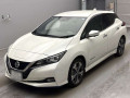 2021 Nissan Leaf