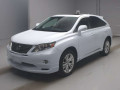 2009 Lexus RX