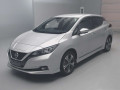 2019 Nissan Leaf