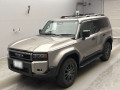 2025 Toyota null
