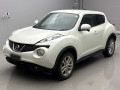 2011 Nissan JUKE