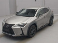 2019 Lexus UX