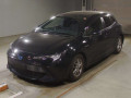 2019 Toyota Corolla Sports