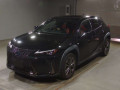 2021 Lexus UX