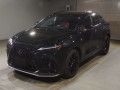 2024 Lexus NX