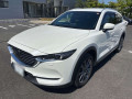2018 Mazda CX-8