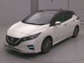 2021 Nissan Leaf