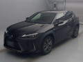 2021 Lexus UX