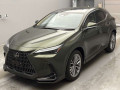 2023 Lexus NX