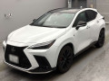 2025 Lexus NX