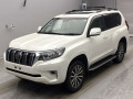 2019 Toyota Land Cruiser Prado