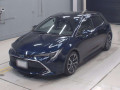 2021 Toyota Corolla Sports