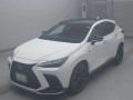 2024 Lexus NX