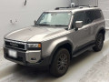 2025 Toyota null