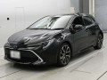2021 Toyota Corolla Sports