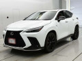 2023 Lexus NX