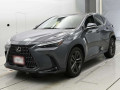 2022 Lexus NX