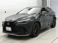 2024 Lexus NX