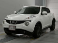 2013 Nissan JUKE