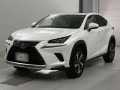 2021 Lexus NX