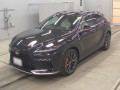2025 Lexus RX