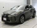 2019 Lexus UX