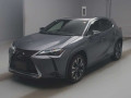 2021 Lexus UX