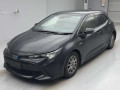 2019 Toyota Corolla Sports