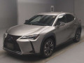 2019 Lexus UX
