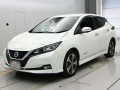 2021 Nissan Leaf