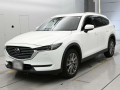 2019 Mazda CX-8