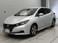 2021 Nissan Leaf
