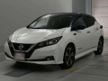 2020 Nissan Leaf