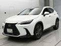 2022 Lexus NX