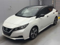 2021 Nissan Leaf