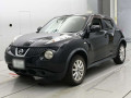 2011 Nissan JUKE