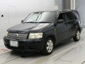 2011 Toyota Succeed Wagon