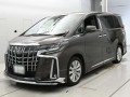 2022 Toyota Alphard